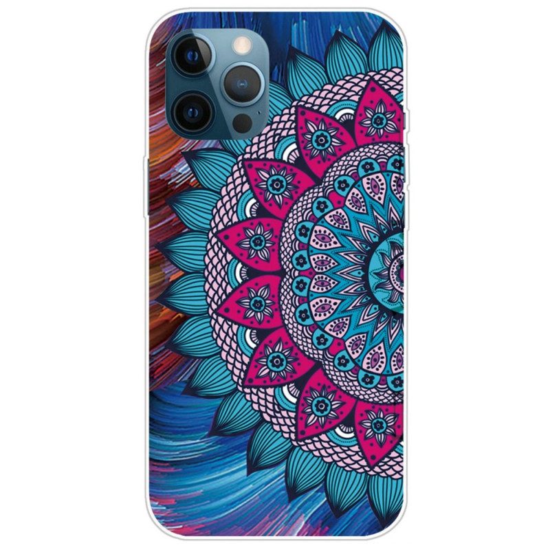 Skal För iPhone 14 Pro Färgglad Mandala