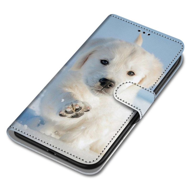 Folio-fodral För Samsung Galaxy M52 5G Snövalp
