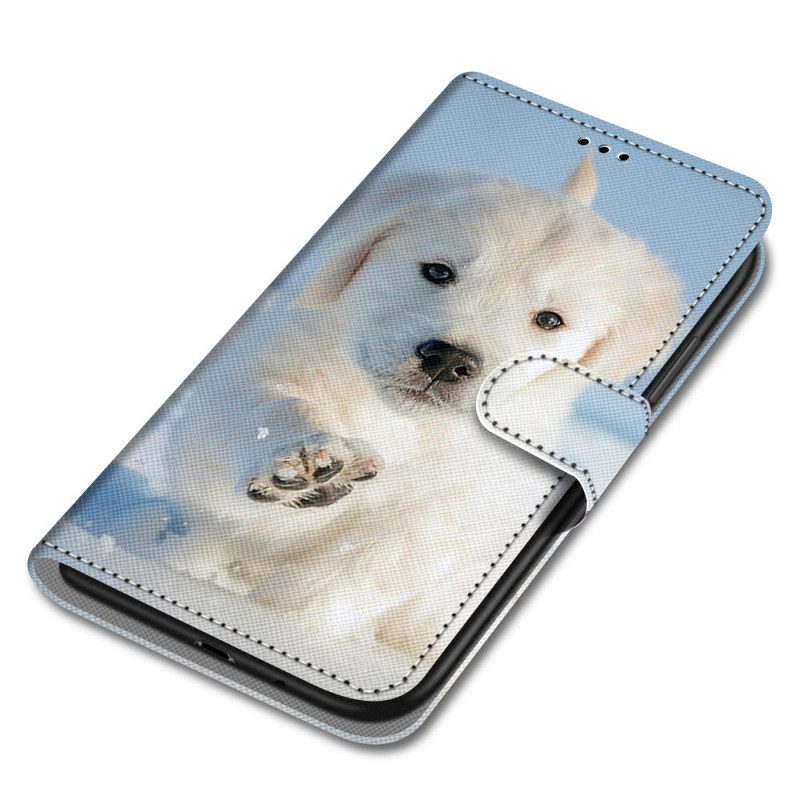 Folio-fodral För Xiaomi Redmi Note 11 Pro Plus 5G Med Kedjar Thonghund