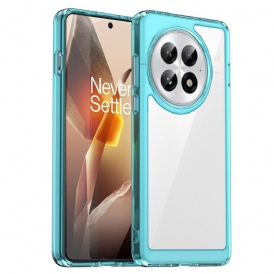 Skal Oneplus 13 Hybrid