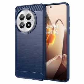Skal Oneplus 13 Telefonfodral Borstad Kolfiber